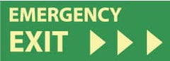 NMC - Emergency Exit, Plastic Exit Sign - 14" Wide x 5" High, Glow-in-the-Dark - Exact Tooling