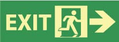 NMC - Exit, Plastic Exit Sign - 14" Wide x 5" High, Glow-in-the-Dark - Exact Tooling