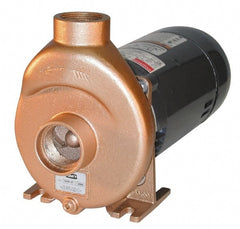 American Machine & Tool - 115/230 Volt, 10/5 Amp, 1 Phase, 1/2 HP, Self Priming Spa and Pool Pump - 56J Frame, 1-1/2 Inch Inlet, ODP Motor, Bronze Housing and Impeller, Buna N Seal - Exact Tooling