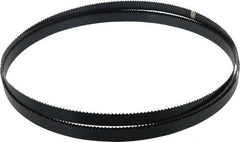 Starrett - 6 TPI, 10' 5" Long x 3/4" Wide x 0.032" Thick, Welded Band Saw Blade - Carbon Steel, Toothed Edge, Raker Tooth Set, Flexible Back, Contour Cutting - Exact Tooling