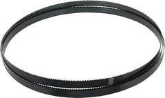 Starrett - 6 TPI, 11' 6" Long x 3/4" Wide x 0.032" Thick, Welded Band Saw Blade - Carbon Steel, Toothed Edge, Raker Tooth Set, Flexible Back, Contour Cutting - Exact Tooling