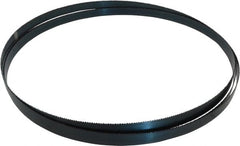 Starrett - 10 TPI, 11' 6" Long x 3/4" Wide x 0.032" Thick, Welded Band Saw Blade - Carbon Steel, Toothed Edge, Raker Tooth Set, Flexible Back, Contour Cutting - Exact Tooling
