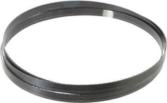 Starrett - 10 TPI, 7' 9" Long x 5/8" Wide x 0.032" Thick, Welded Band Saw Blade - Carbon Steel, Toothed Edge, Raker Tooth Set, Flexible Back, Contour Cutting - Exact Tooling