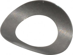 Gardner Spring - #5 Bolt, 0.135" ID, Grade 301 Stainless Steel, Curved Disc Spring - 0.245" OD, 0.049" High, 0.004" Thick - Exact Tooling