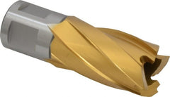 Hougen - 13/16" Diam x 1" Deep High Speed Steel Annular Cutter - Exact Tooling