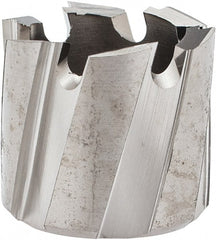 Hougen - 17mm Diam x 1/4" Deep High Speed Steel Annular Cutter - Exact Tooling