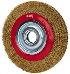 Value Collection - 8" OD, 1-1/4" Arbor Hole, Crimped Brass-Coated Steel Wheel Brush - 3/4" Face Width, 1-11/32" Trim Length, 0.012" Filament Diam, 4,500 RPM - Exact Tooling