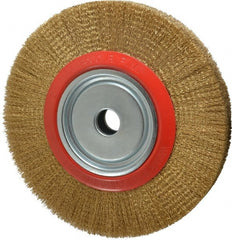 Value Collection - 12" OD, 1-1/4" Arbor Hole, Crimped Brass-Coated Steel Wheel Brush - 1-21/32" Face Width, 2-3/8" Trim Length, 0.012" Filament Diam, 3,000 RPM - Exact Tooling