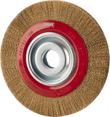 Value Collection - 8" OD, 1-1/4" Arbor Hole, Crimped Brass-Coated Steel Wheel Brush - 3/4" Face Width, 1-11/32" Trim Length, 0.007" Filament Diam, 4,500 RPM - Exact Tooling