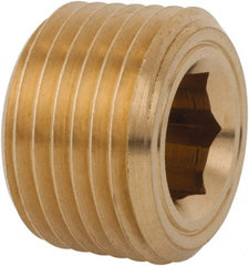 Legris - 1/2 Male Thread, Brass Industrial Pipe Hollow Hex Plug - MBSPT, 3,626 psi - Exact Tooling