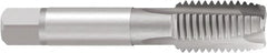 Emuge - #6-32 UNC, 3 Flute, Nitride Finish, Cobalt Spiral Point Tap - Plug Chamfer, Right Hand Thread, 2" OAL, 0.472" Thread Length, 0.141" Shank Diam, 2B Class of Fit, Series Rekord B - Exact Tooling
