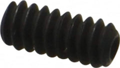 Value Collection - #6-32 UNC, 5/16" OAL, Cup Point Set Screw - Grade 8 Alloy Steel, 1/16" Key - Exact Tooling