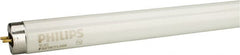 Philips - 32 Watt Fluorescent Tubular Medium Bi-Pin Lamp - 5,000°K Color Temp, 2,000 Lumens, T8, 20,000 hr Avg Life - Exact Tooling