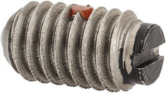 Gibraltar - 5/16-18, 0.156" Ball Diam, 0.578" Body Length, 0.04" Max Ball Reach, Threaded Ball Plunger - Stainless Steel Body, Nylon Ball, 4 Lb Initial End Force, 9 Lb Final End Force, Locking Element - Exact Tooling