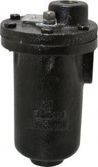 Hoffman Speciality - 3/4" NPT Inlet, 1/2" NPT Outlet, 250 Max psi, Cast Iron Water Vent - 350 Max Hydrostatic psi, 300°F Max - Exact Tooling