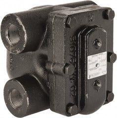 Hoffman Speciality - 3/4 Female" Pipe, Cast Iron Float & Thermostatic Steam Trap - 75 Max psi - Exact Tooling