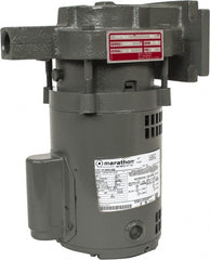 Bell & Gossett - 115/230 V, Condensate Pump Replacement Pump and Motor - For Use With 609PF and ITT Hoffman Watchman Series WC Condensate Units - Exact Tooling