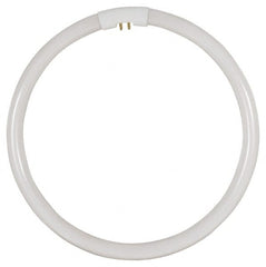 Value Collection - 32 Watt Fluorescent Tubular 4 Pin Lamp - 6,400°K Color Temp, 2,240 Lumens, T5, 10,000 hr Avg Life - Exact Tooling