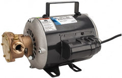 Jabsco - 1/2 Inch Inlet, 1/3 Hp, 11.2 Max GPM, Flexible Impeller Pump - 115 Volts, Nitrile Impeller - Exact Tooling