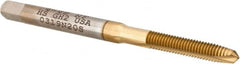 Hertel - #4-48 UNF, 2 Flute, TiN Finish, High Speed Steel Spiral Point Tap - Plug Chamfer, Right Hand Thread, 1-7/8" OAL, 9/16" Thread Length, 0.141" Shank Diam, 2B Class of Fit - Exact Tooling