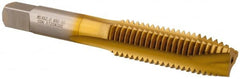 Hertel - M14x2.00 Metric Coarse, 3 Flute, TiN Finish, High Speed Steel Spiral Point Tap - Plug Chamfer, Right Hand Thread, 3-19/32" OAL, 1-21/32" Thread Length, 0.429" Shank Diam - Exact Tooling