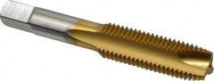 Hertel - M16x2.00 Metric Coarse, 3 Flute, TiN Finish, High Speed Steel Spiral Point Tap - Plug Chamfer, Right Hand Thread, 3-13/16" OAL, 1-13/16" Thread Length, 0.48" Shank Diam - Exact Tooling
