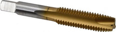Hertel - M14x2.00 Metric Coarse, 3 Flute, TiN Finish, High Speed Steel Spiral Point Tap - Plug Chamfer, Right Hand Thread, 3-19/32" OAL, 1-21/32" Thread Length, 0.429" Shank Diam, 6H Class of Fit - Exact Tooling