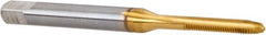Hertel - M2x0.40 Metric Coarse 6H 3 Flute TiN Finish High Speed Steel Straight Flute Standard Hand Tap - Plug, Right Hand Thread, 1-3/4" OAL, 7/16" Thread Length, D3 Limit, Oversize - Exact Tooling