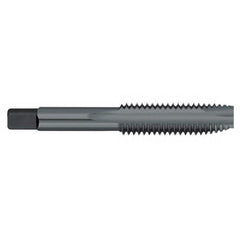 Titan USA - Spiral Point Taps; Thread Size (Inch): 9/16-12 ; Number of Flutes: 3 ; Chamfer: Plug ; Class of Fit: 2B/3B ; Thread Limit: H3 ; Finish/Coating: Steam Oxide - Exact Tooling