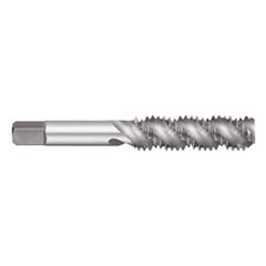 Titan USA - Spiral Flute Taps; Thread Size (Inch): #6-32 ; Chamfer: Semi-Bottoming ; Class of Fit: 2B/3B ; Thread Limit: H3 ; Number of Flutes: 2 ; Material: High Speed Steel - Exact Tooling