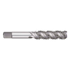 Titan USA - Spiral Flute Taps; Thread Size (Inch): 3/4-10 ; Chamfer: Semi-Bottoming ; Class of Fit: 2B/3B ; Thread Limit: H3 ; Number of Flutes: 4 ; Material: High Speed Steel - Exact Tooling