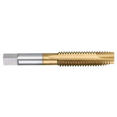 Titan USA - Spiral Point Taps; Thread Size (mm): M16x2.00 ; Number of Flutes: 3 ; Chamfer: Plug ; Class of Fit: 6H ; Thread Limit: D7 ; Finish/Coating: TiN - Exact Tooling