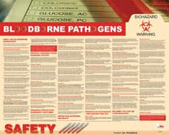 NMC - 30" Wide x 24" High Laminated Paper Bloodborne Pathogens Information Poster - English - Exact Tooling