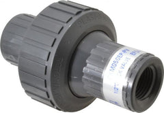 Plast-O-Matic - 1/2" PVC Check Valve - Inline, FNPT x FNPT, 150 WOG - Exact Tooling