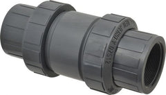 Plast-O-Matic - 2" PVC Check Valve - Inline, FNPT x FNPT, 150 WOG - Exact Tooling