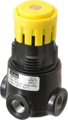 Parker - 1/8 NPT Port, 13 CFM, Zinc Miniature Regulator - 2 to 125 psi Range, 300 Max psi Supply Pressure, 1/8" Gauge Port Thread, 1.65" Wide x 2.88" High - Exact Tooling