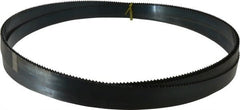 Starrett - 6 TPI, 19' 6" Long x 1" Wide x 0.035" Thick, Welded Band Saw Blade - Carbon Steel, Toothed Edge, Raker Tooth Set, Flexible Back, Contour Cutting - Exact Tooling