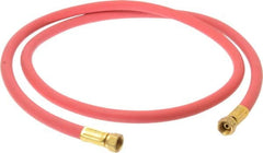 Coilhose Pneumatics - Paint Sprayer Hose with Fittings - Fixture, Compatible with Paint Sprayers - Exact Tooling