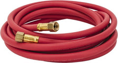 Coilhose Pneumatics - Paint Sprayer Hose with Fittings - Exact Tooling