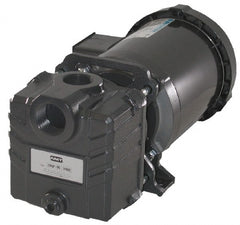 American Machine & Tool - 115/230 Volt, 1 Phase, 3/4 HP, Self Priming Centrifugal Pump - ODP Motor, Cast Iron Housing and Impeller, 65 Ft. Shut Off - Exact Tooling