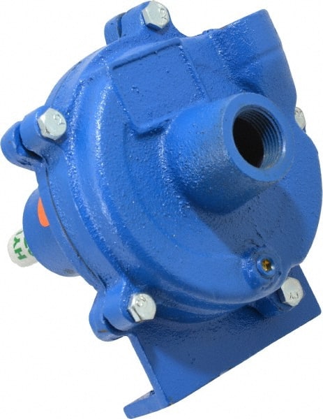 American Machine & Tool - 3/4 Inch Inlet, 1/2 Inch Outlet, Cast Iron, Pedestal Mount Pump - O Ring Casing Seal - Exact Tooling