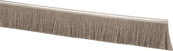 PRO-SOURCE - 1/2" Back Strip Brush Width, Stainless Steel Back Strip Brush - 2" Bristle Length, Stainless Steel, 36" OAL - Exact Tooling