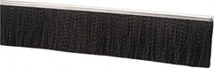 PRO-SOURCE - 1/2" Back Strip Brush Width, Stainless Steel Back Strip Brush - 2" Bristle Length, Nylon, 36" OAL - Exact Tooling
