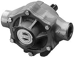 Pentair - 5-Roller Pump, Cast Iron Housing Material, Roller Spray Pump Only - 3/4 Inch Inlet Size, 3/4 Inch Outlet Size, 200 psi Max Working Pressure, 1000 Max RPM, Viton, Lip, 416 Stainless Steel, NPT - Exact Tooling