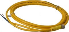 Brad Harrison - 4 Amp, M8 Female Straight to Pigtail Cordset Sensor and Receptacle - 60 VAC, 75 VDC, 2m Cable Length, IP68 Ingress Rating - Exact Tooling