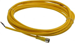 Brad Harrison - 3 Amp, M8 Female Straight to Pigtail Cordset Sensor and Receptacle - 60 VAC, 75 VDC, 5m Cable Length, IP68 Ingress Rating - Exact Tooling
