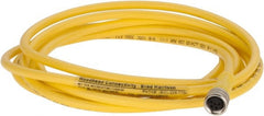 Brad Harrison - 3 Amp, M8 Female Straight to Pigtail Cordset Sensor and Receptacle - 60 VAC, 75 VDC, 2m Cable Length, IP68 Ingress Rating - Exact Tooling
