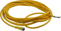 Brad Harrison - 3 Amp, M8 Female Straight to Pigtail Cordset Sensor and Receptacle - 60 VAC, 75 VDC, 5m Cable Length, IP68 Ingress Rating - Exact Tooling