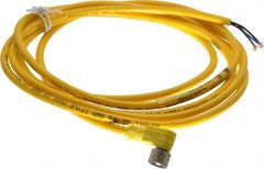 Brad Harrison - 3 Amp, M8 Female 90° to Pigtail Cordset Sensor and Receptacle - 60 VAC, 75 VDC, 2m Cable Length, IP67 Ingress Rating - Exact Tooling