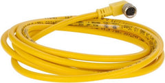 Brad Harrison - 3 Amp, M8 Female 90° to Pigtail Cordset Sensor and Receptacle - 60 VAC, 75 VDC, 2m Cable Length, IP67 Ingress Rating - Exact Tooling